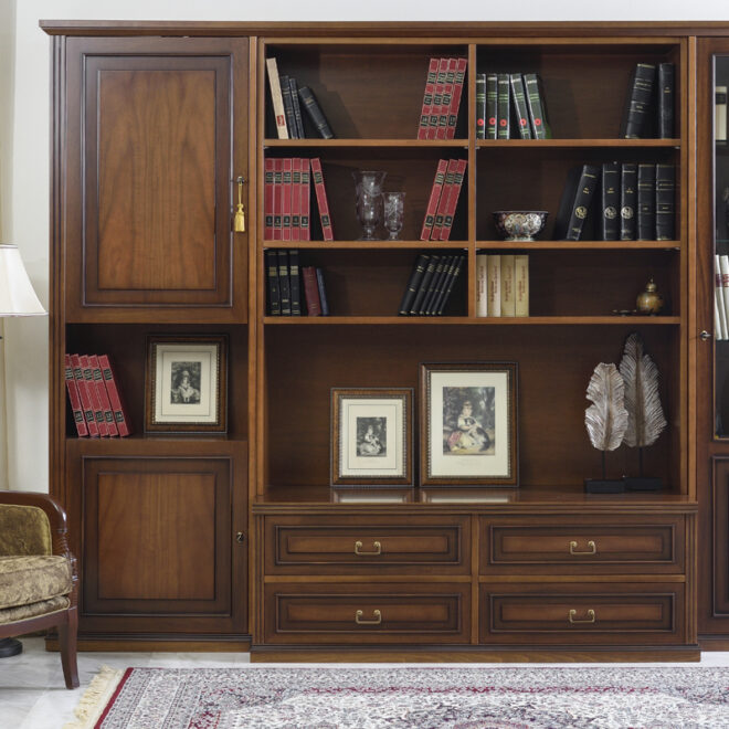 Klassiki-bibliothiki-synthesi-salooniou