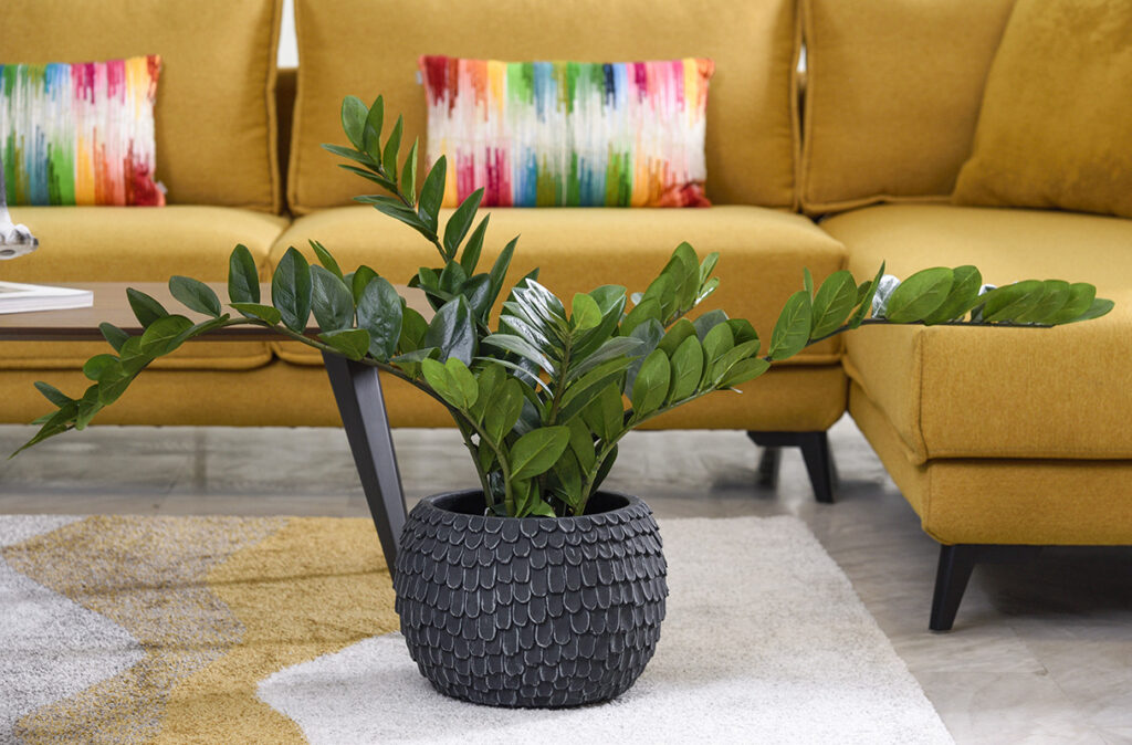 Κασπό Τσιμεντένιο 