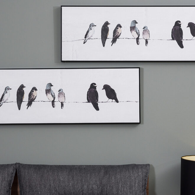 030-pinakas-poulia-aspro-mauro