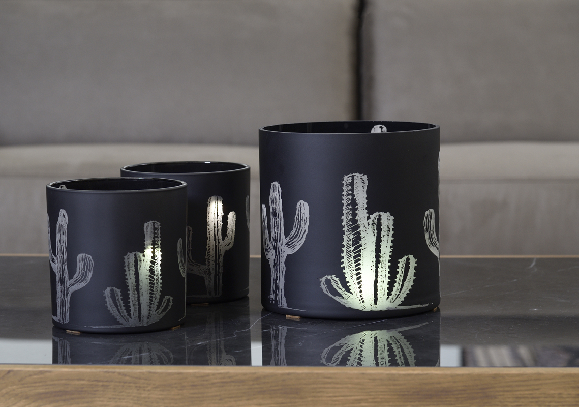 1000-1001-kiripigio-gialino-kaktos