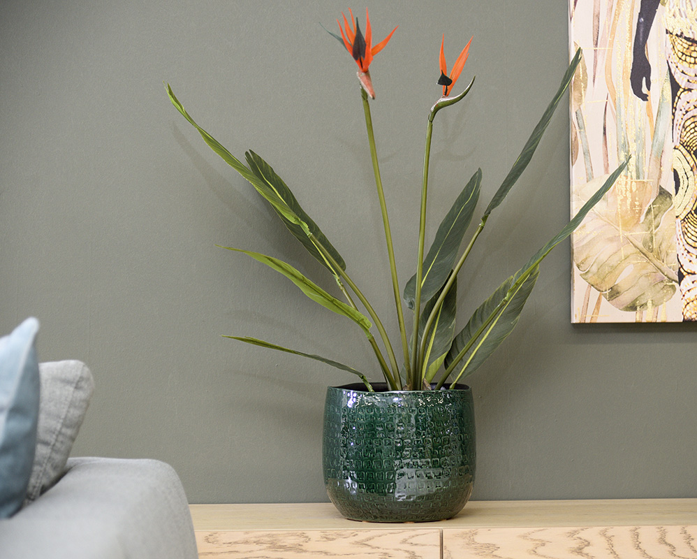 1209-keramiko-prasino-kaspo-belgium