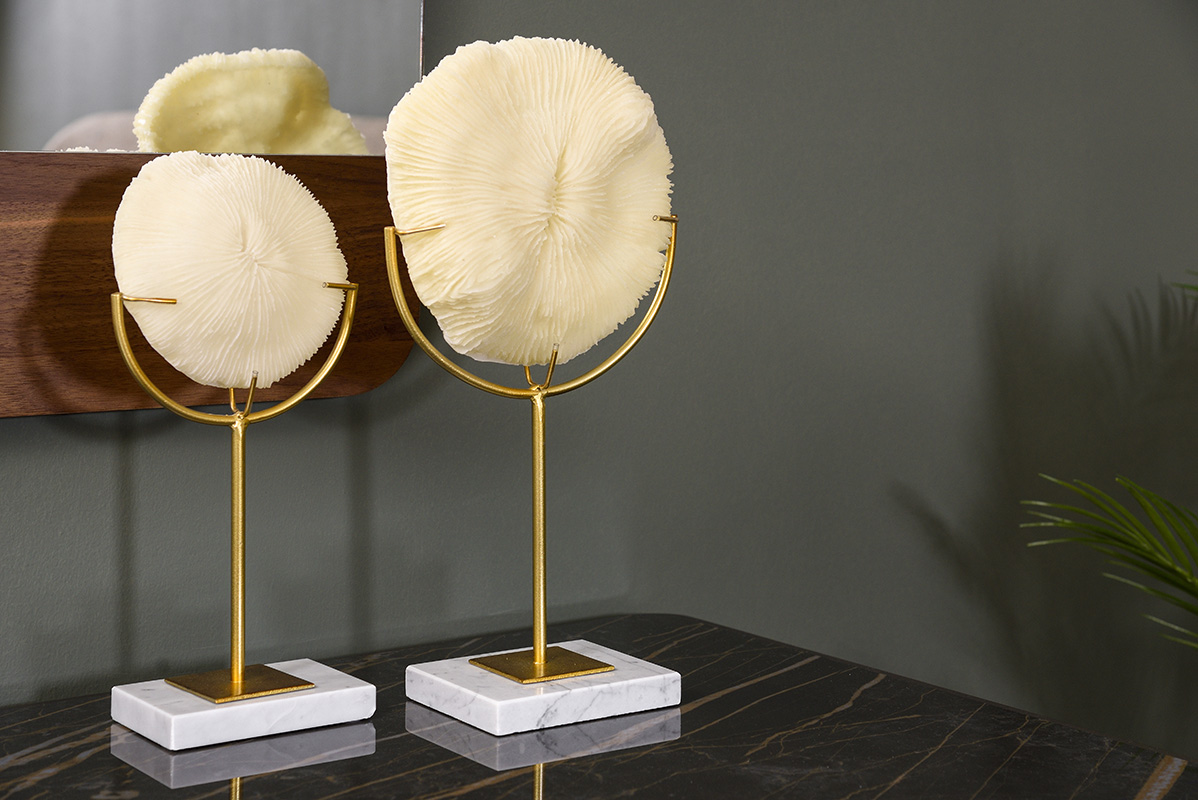 1298-1299-korallia-leyka-xrisi-vasi-marmaro-aspro