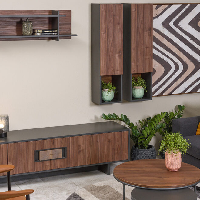 Naturale-synthesi-tv-melamini-karydi